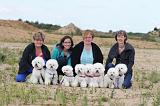 ADULTE ET CHIEN 017